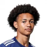 ليني بيرينغويل