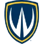 ويندسور